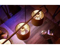 Philips Hue White Inteligentna Żarówka kulka 2xE14 8719514356771 - 700537 - zdjęcie 4